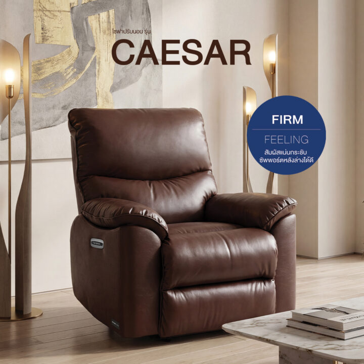 โซฟารีไคลเนอร์ รุ่น Caesar