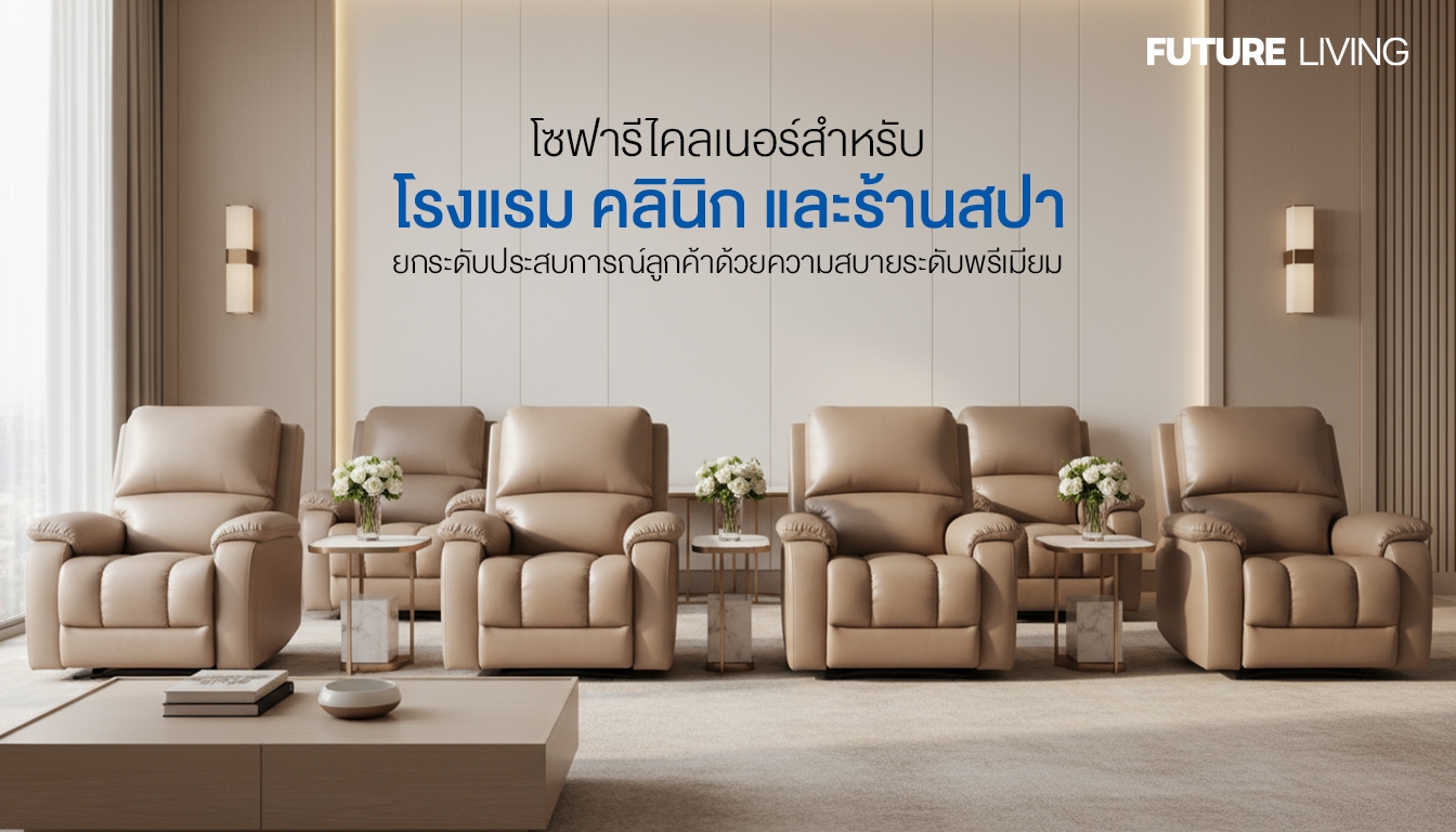 เฟอร์นิเจอร์แต่งบ้าน โซฟารีไคลเนอร์คุณภาพดี | Future Living