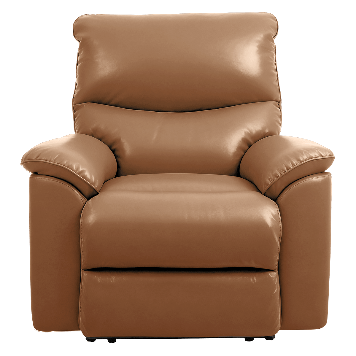 หนังแท้_FullGrain_น้ำตาลทอง