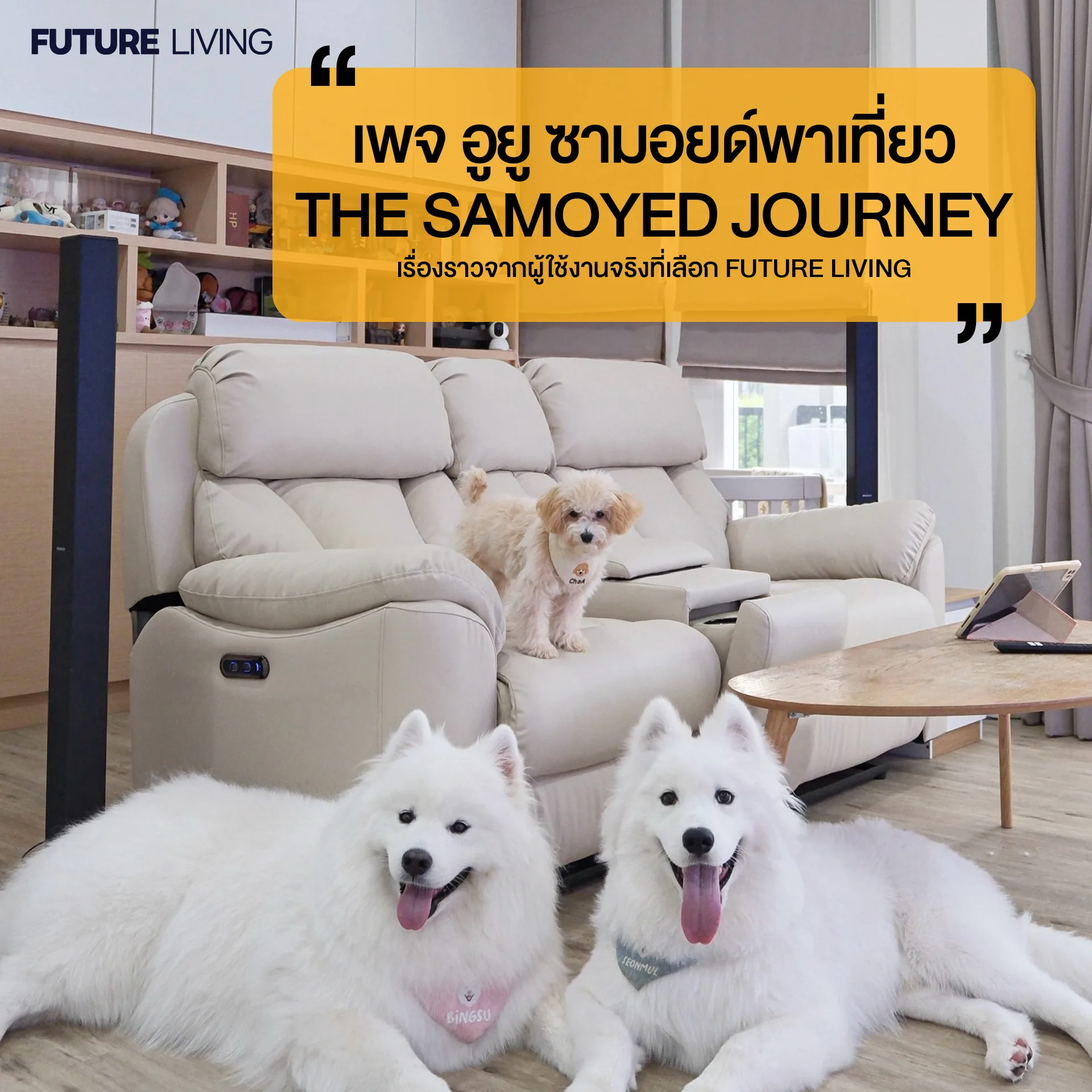 Customer reviews_เพจอูยู ซามอยด์พาเที่ยว The Samoyed Journey